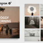 120+ Foggy Morning Quotes for Instagram & Beautiful Quotes