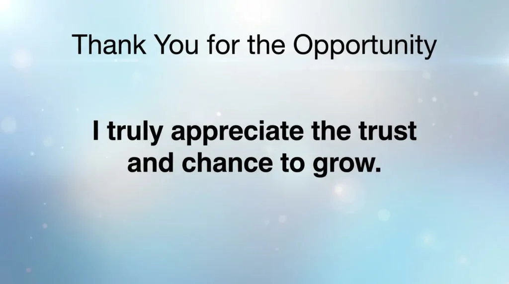 Thank You for the Opportunity